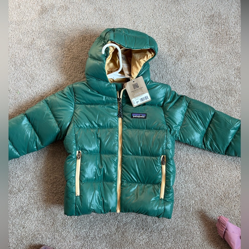 Patagonia Conifer Green Down Sweater Hoody